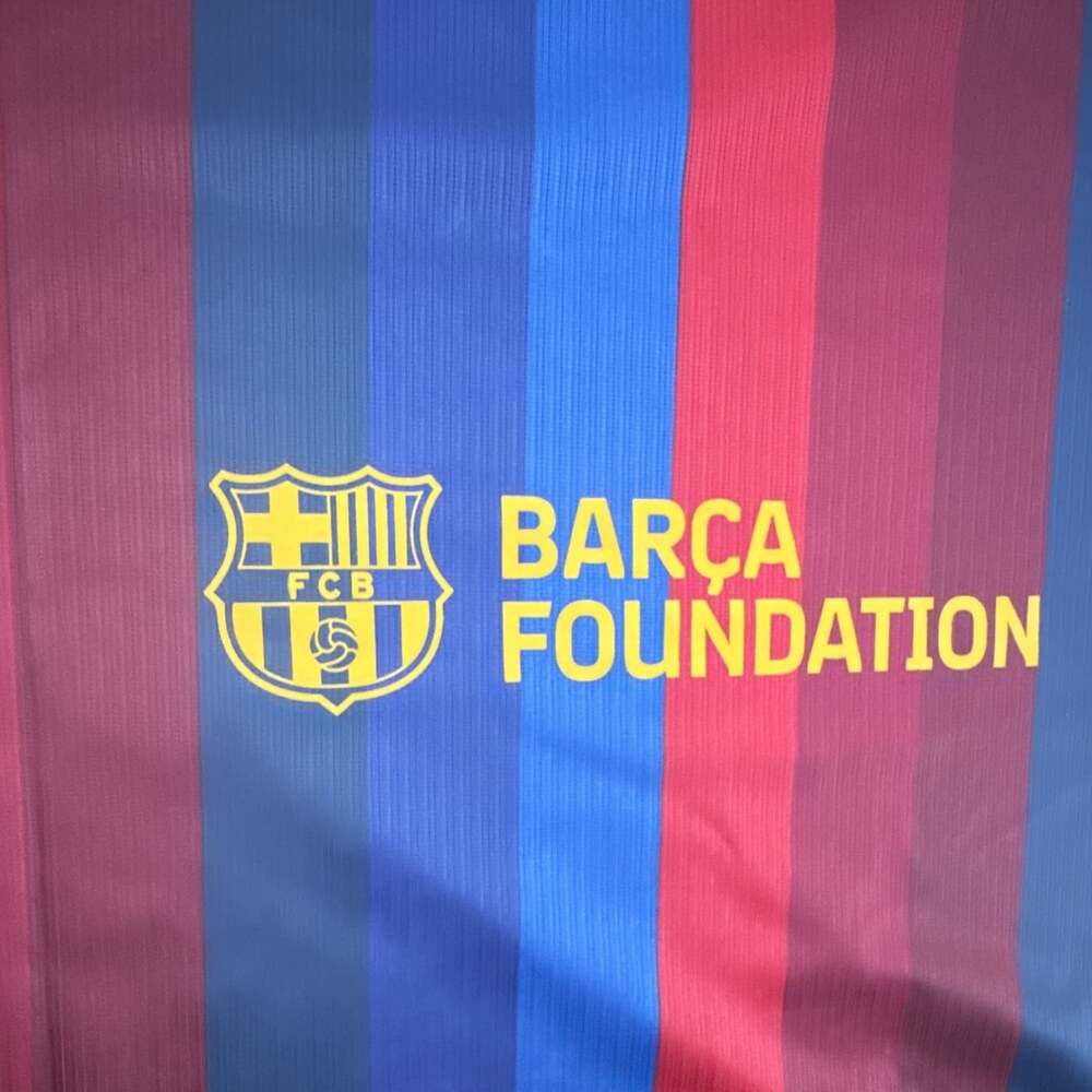 Nike FC Barcelona Dri-FIT Soccer Jersey Blue/Red Stripes | Size L - Picture 7 of 8